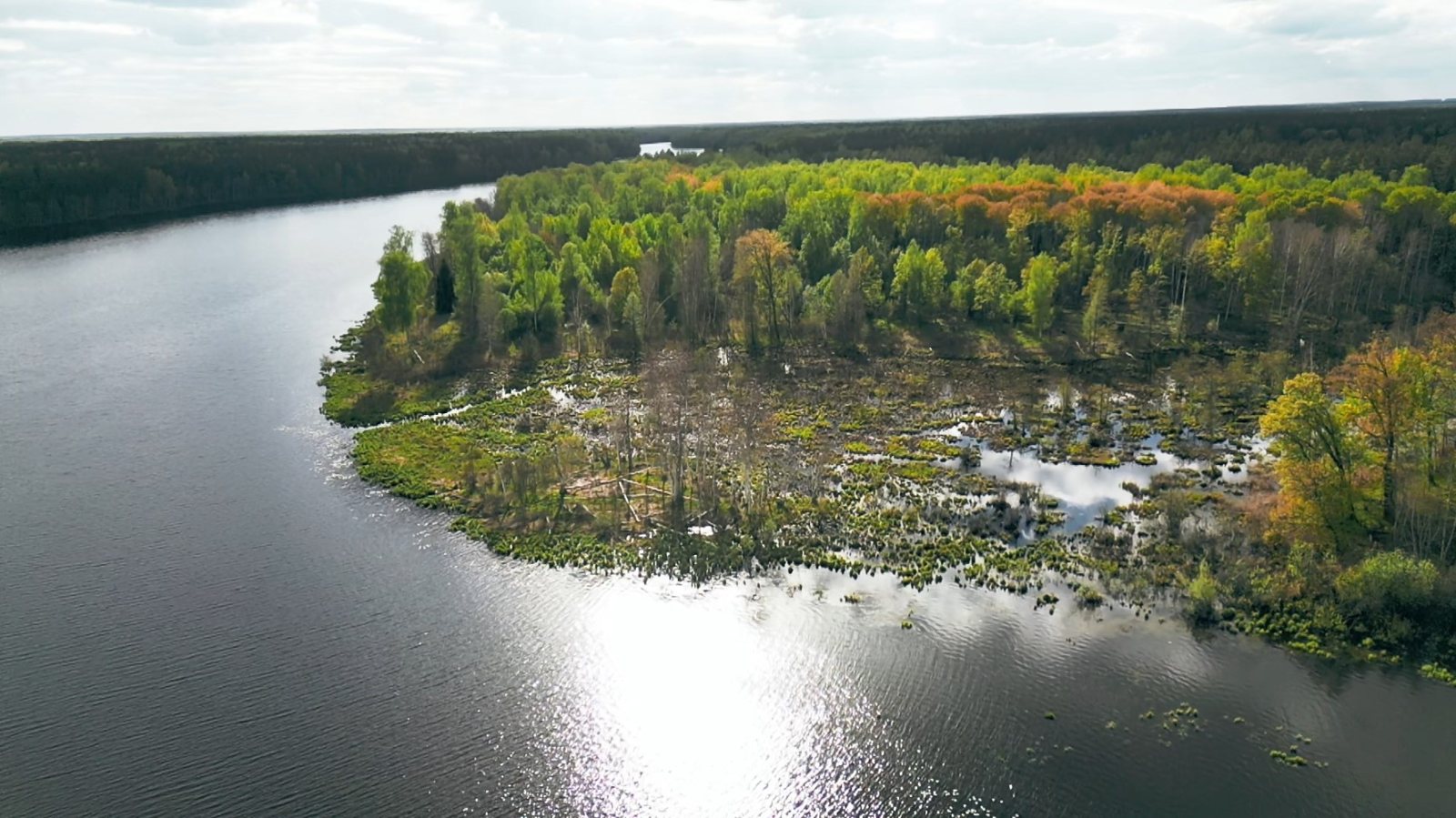 Озеро Виша с дрона