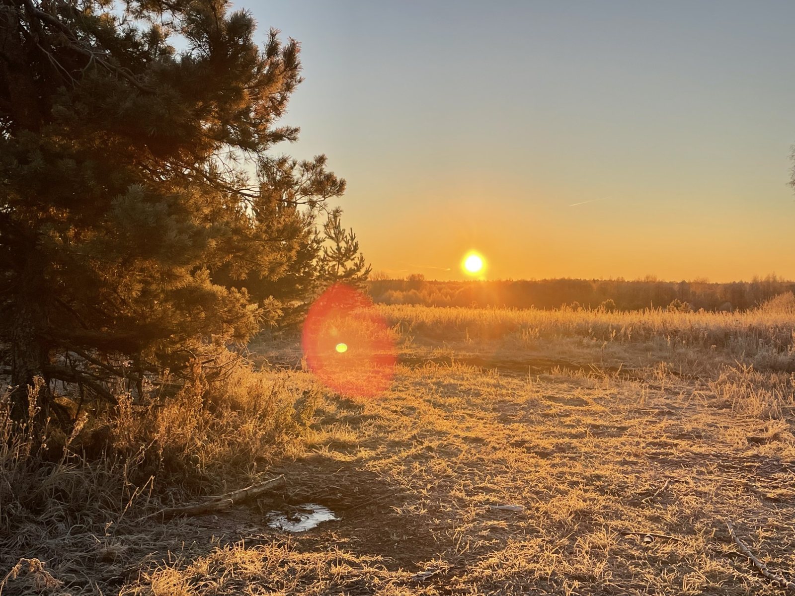 Рассвет над водой