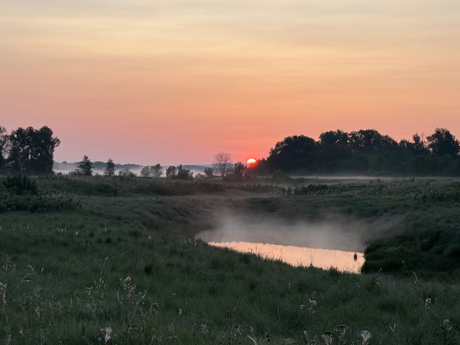 Утренний туман на лугу